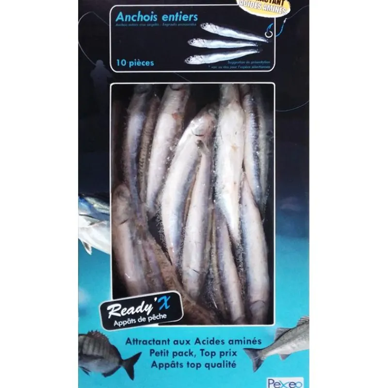 Pexeo Anchois Entiers Surgelés Ready'x * Appâts Naturels - Amorces