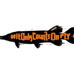 Vision Autocollant It Only Counts On Fly * Accessoires Mouche
