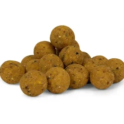 Avid Carp Bouillette B8-Up - 5Kg * Appâts Carpe