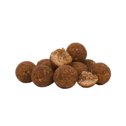 Avid Carp Bouillette V-Nut Boilies * Appâts Carpe