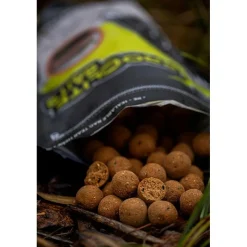 Bouillette Pro Elite Baits Boilies Natural Foods Squid & Octopus