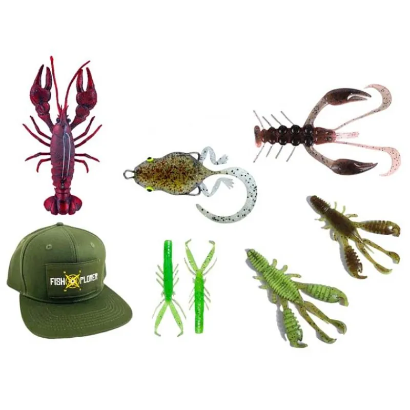 Fishxplorer Box Découverte Creature Deal * Cadeaux & Décoration|Cadeaux & Décoration