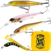 Fishxplorer Box Truite Poissons Nageur * Box Cadeau & Mystery Box|Box Cadeau & Mystery Box