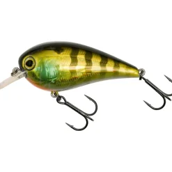 Westin Box Gift Box Luc Coppens' Favorites * Cadeaux & Décoration|Cadeaux & Décoration