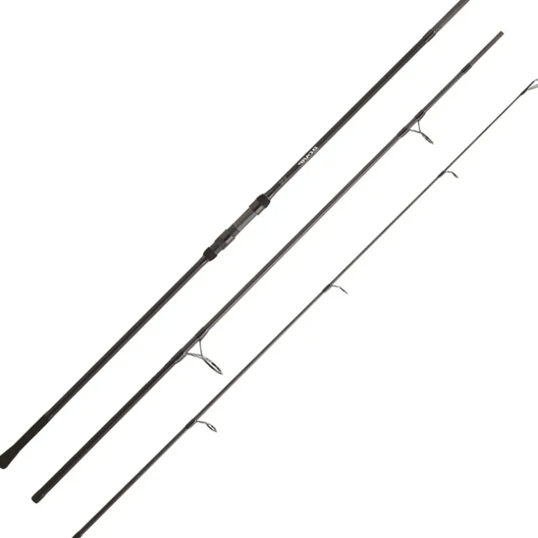 Canne Carpe Daiwa D Carp