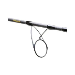 Canne Carpe Wychwood Epic Carp Rods