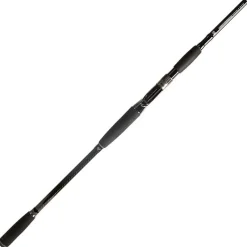 BFT Canne Casting 92 Big Fish Classic * Cannes Carnassier