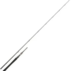 Daiwa Canne Casting Exceler Casting 1+1 * Cannes Carnassier