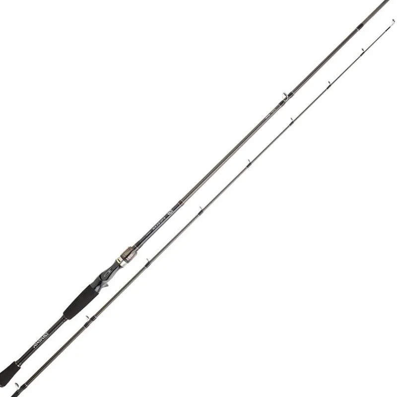 Daiwa Canne Casting Exceler Casting * Cannes Carnassier