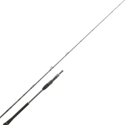Daiwa Canne Casting Legalis Jigging * Cannes Mer