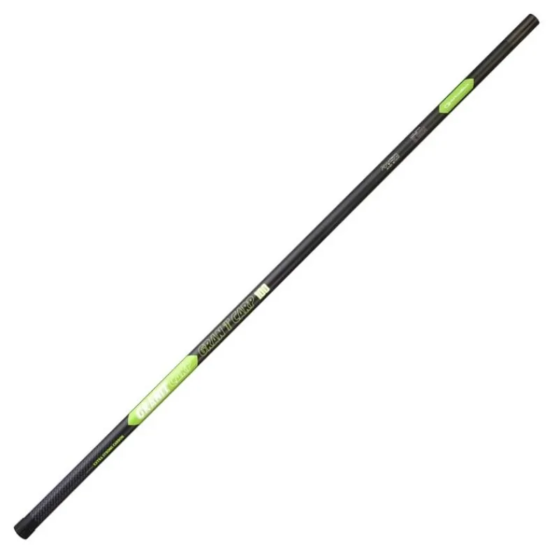 Canne Coup À Emmanchement Garbolino Carp Legend 170