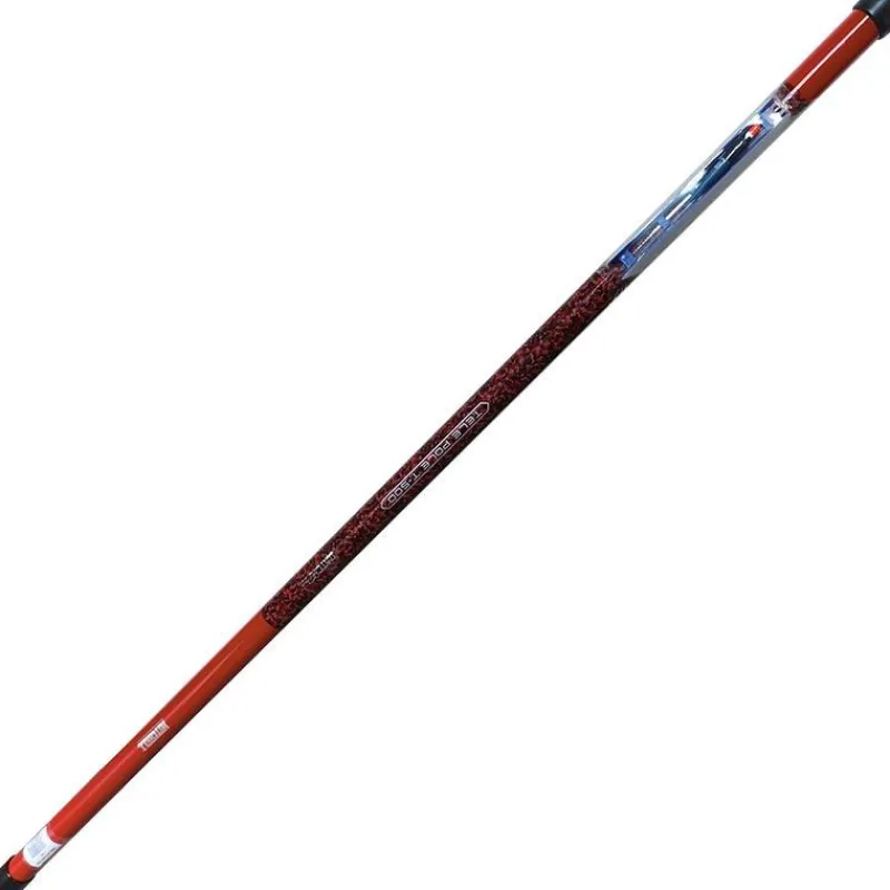 Mitchell Canne Coup Télescopique Catch Pro Ii Telepole * Cannes