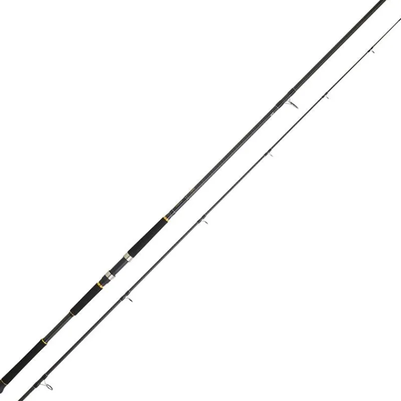 Daiwa Canne Legalis Shore Jigging * Cannes Mer