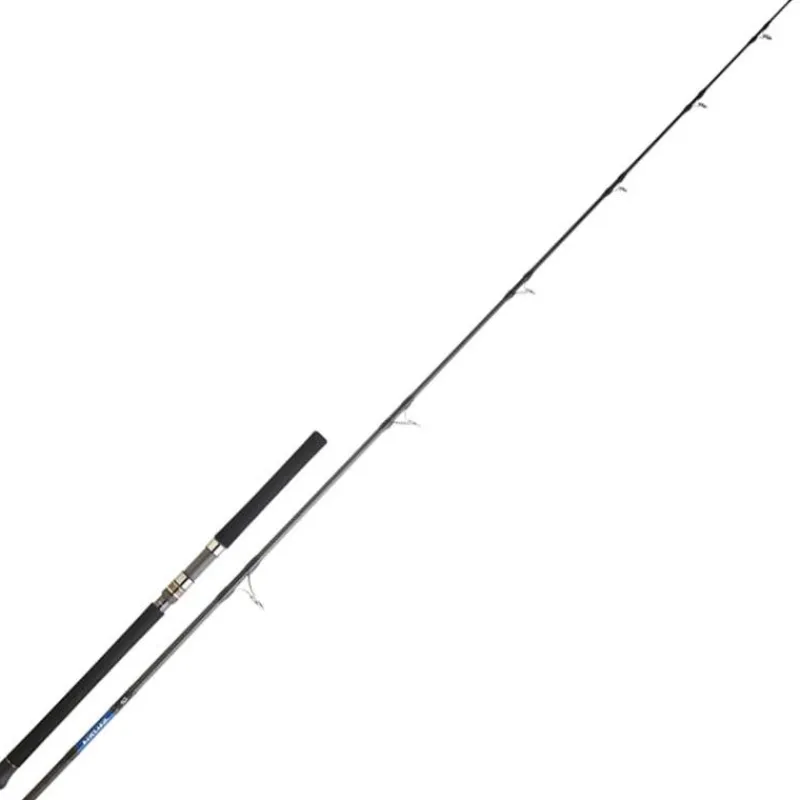 Daiwa Canne Saltiga * Cannes Mer