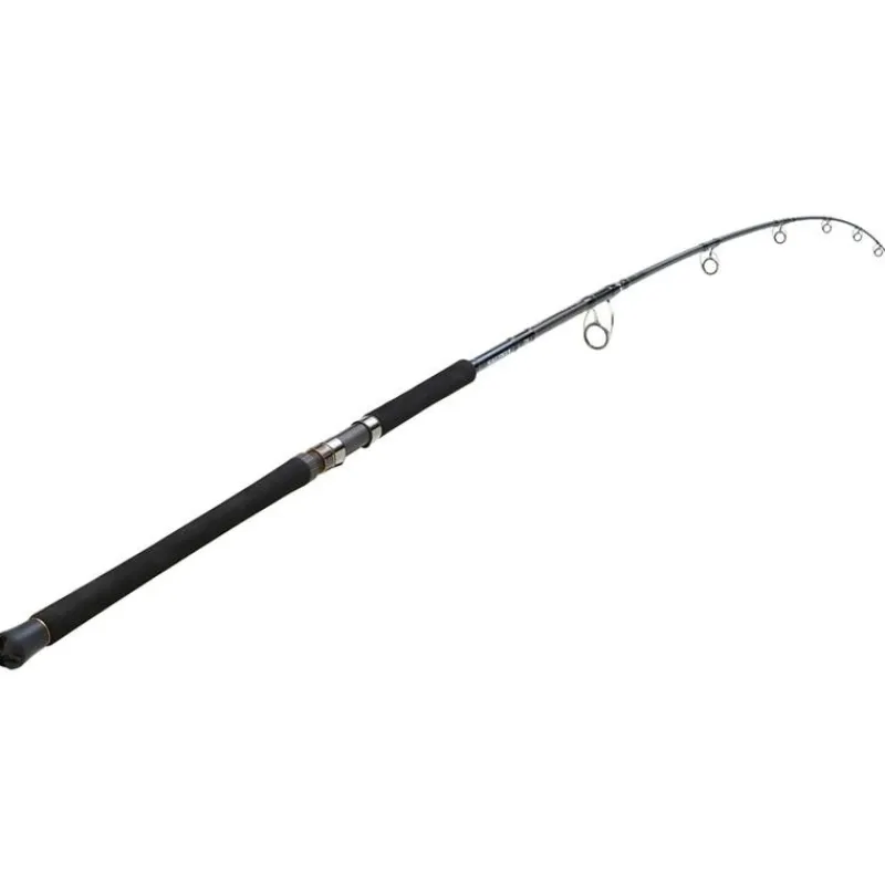 Daiwa Canne Saltiga Air Portable * Cannes Mer