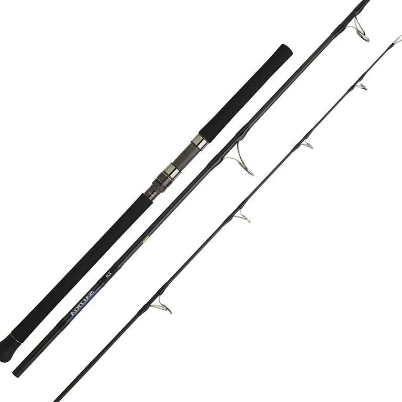 Daiwa Canne Saltiga Air Portable * Cannes Mer