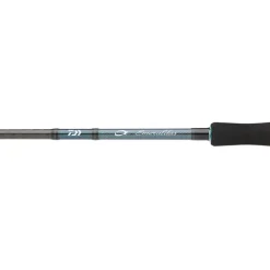 Daiwa Canne Eging Emeraldas E * Cannes Mer