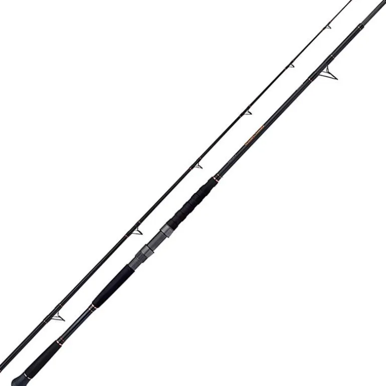 Canne Shimano Beastmaster Ax Catfish Lure