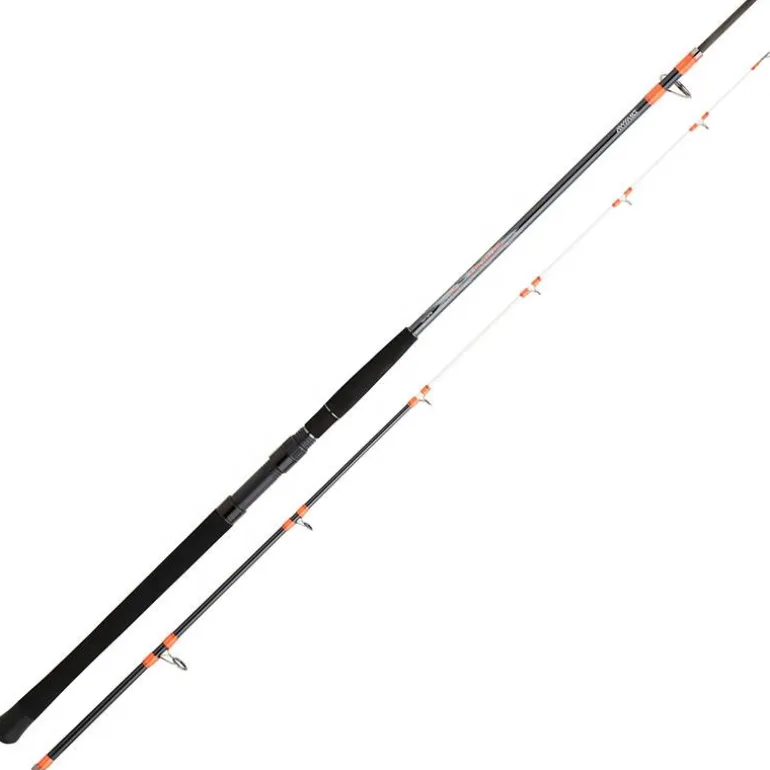 Canne Spinning Daiwa Megaforce Boat