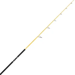 Illex Canne Spinning Element Rider X5 S 240 H Yellow Fight * Cannes Mer