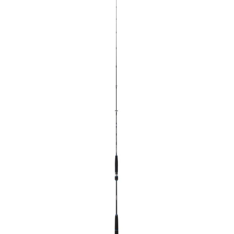 Sakura Canne Spinning Ryokan Sw Slow Jig * Cannes Mer
