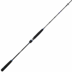Sakura Canne Spinning Ryokan Sw Slow Jig * Cannes Mer
