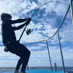 Tailwalk Canne Spinning Sprint Stick Ssd * Cannes Silure|Cannes Mer