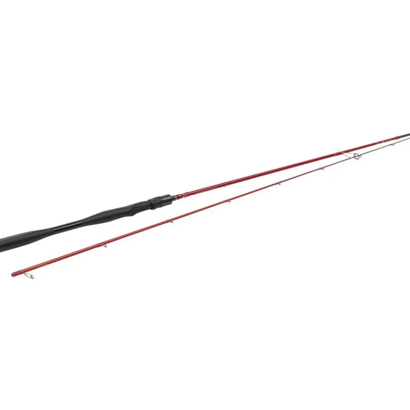 Westin Canne Spinning W6 Finesse T&C 2Nd * Cannes Carnassier