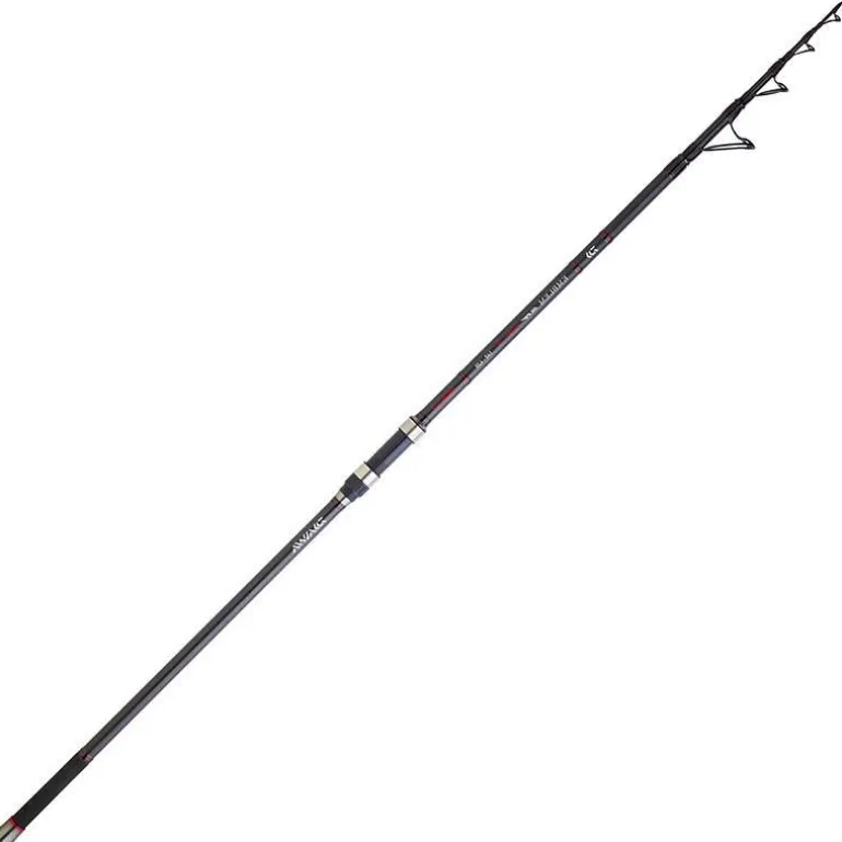 Canne Surf Téléescopique Daiwa Emblem Surf Type R