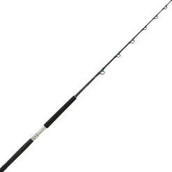 Daiwa Canne Traine Sealine X Trolling * Cannes Mer