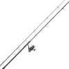 Daiwa Ensemble Carpe Set Carpe 16/17 * Ensembles Carpe