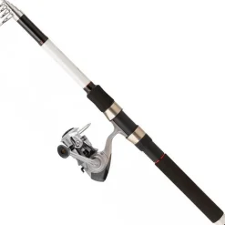Daiwa Ensemble Spinning Set Tele Lancer * Ensembles Carnassier