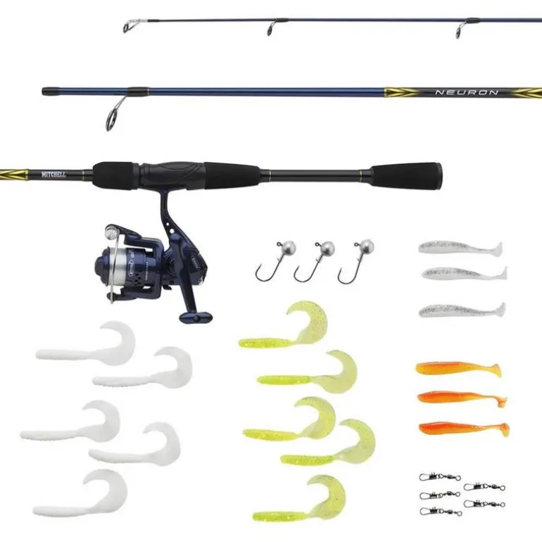 Ensemble Spinning Mitchell Neuron Sw Spin Combo