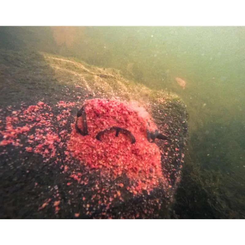 Korum Feeder Camo River Method * Cages Feeder