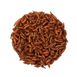 Pecheur.com Gozzers Bronze * Appâts - Amorces