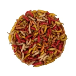 Pecheur.com Gozzers Multicolores * Appâts - Amorces