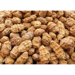 Poseidon Particles Graine Tigernuts Xxl * Appâts - Amorces|Appâts Carpe