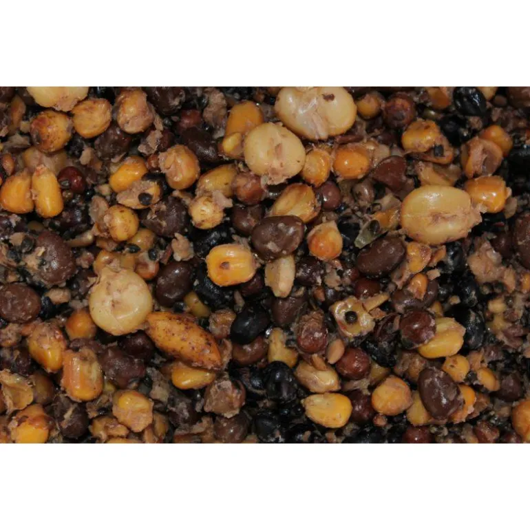 Graine Préparée Pro Elite Baits Particles Mix