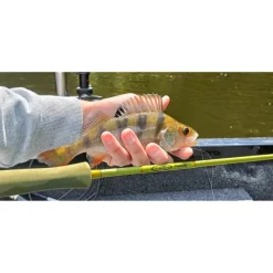 Pecheur.com Guide Mouche Carnassiers Auvergne Mickael Miclet * Guide De Pêche Mer|Guide De Pêche