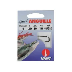 VMC Hamecon Monte Anguille - Par 10 * Anguilles
