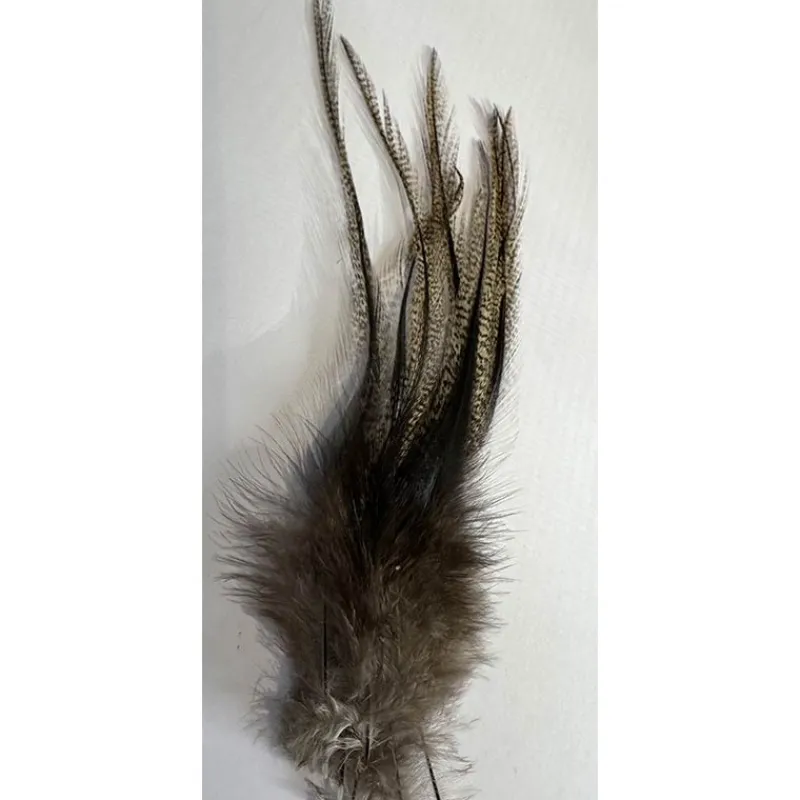 Vesuna Lancettes Pardo Grade 1 * Fly Tying