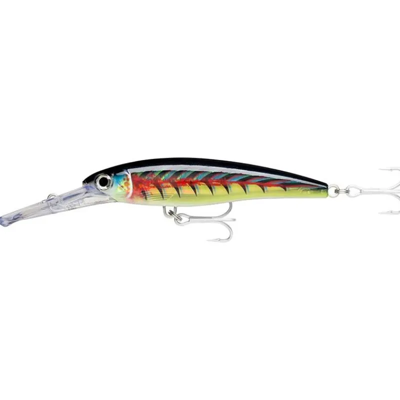 Rapala Leurre Flottant X-Rap Magnum 20 - 14Cm * Leurres Silure