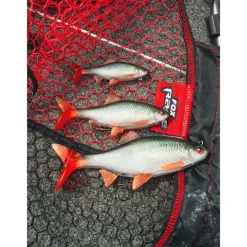 Fox Rage Leurre Souple Armé Ultra-Realistic Roach Replicant * Leurres Carnassiers
