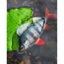 Fox Rage Leurre Souple Armé Ultra-Realistic Perch Replicant * Leurres Carnassiers