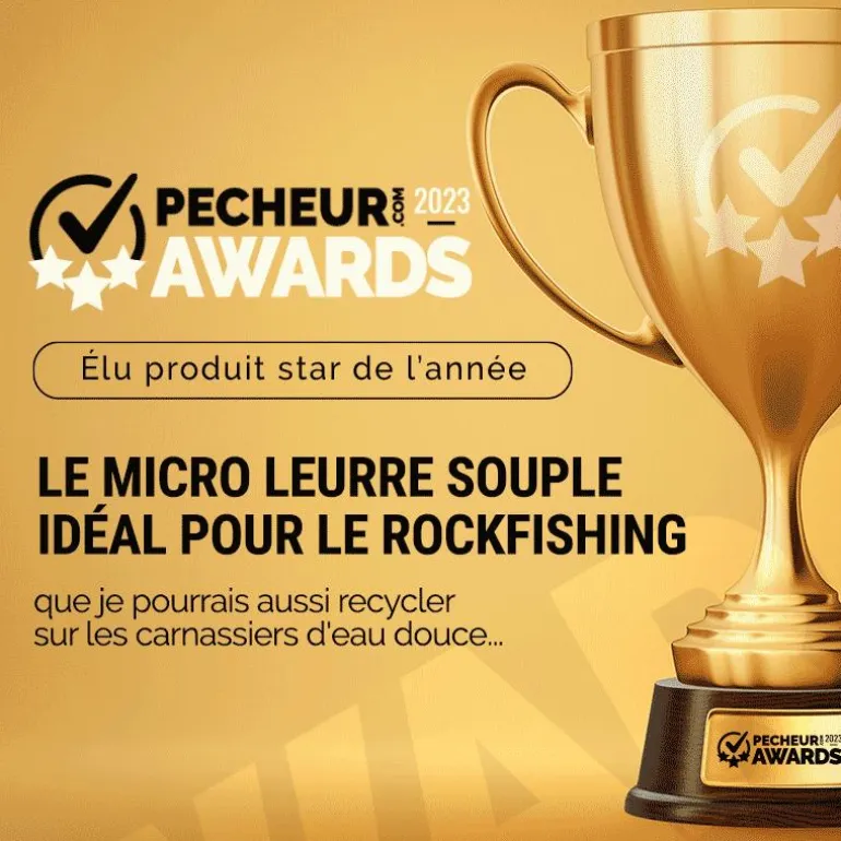 Leurre Souple Reins Rockvibe Shad 2” - 5Cm