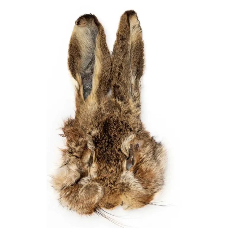 Masque De Lievre Fly Scene Hare's Mask