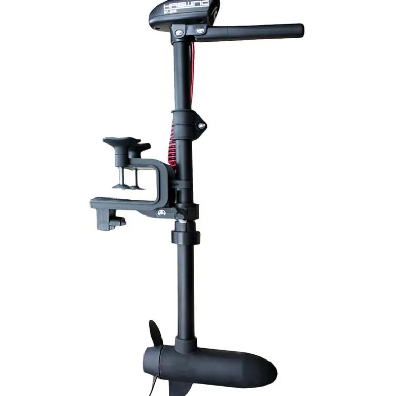 Moteur Electrique Haswing W-20 20 Lbs