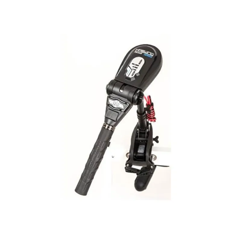 Moteur Haswing Protruar 2.0 85Lbs 12V