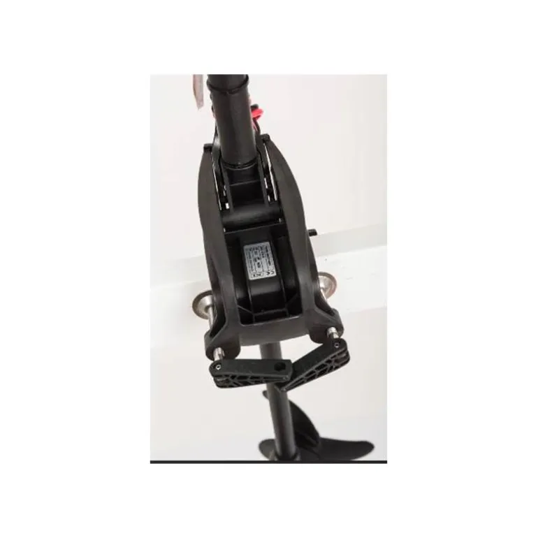 Moteur Haswing Protruar 2.0 85Lbs 12V