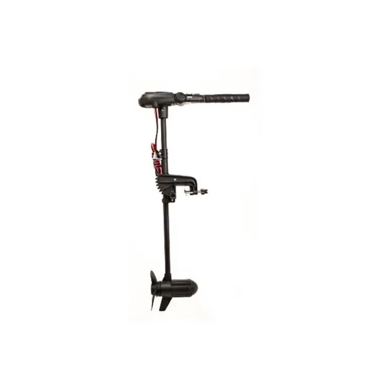 Moteur Haswing Protruar 2.0 85Lbs 12V